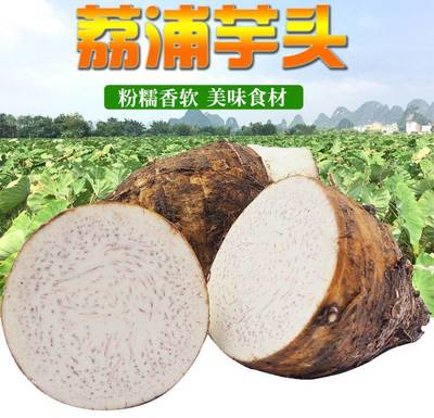 荔浦芋頭新鮮現(xiàn)挖當(dāng)季香芋新鮮廣西檳榔紫藤芋頭1斤/3斤/5斤/9斤