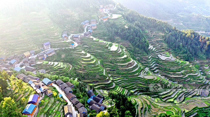 廣西三江苗寨梯田美如畫卷 迎來最佳觀賞期