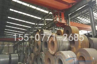 普通板 卷 材 廠家 普通板 卷 材 價(jià)格,采購,圖片