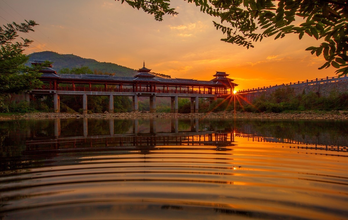 茶旅世界·十大魅力茶鄉(xiāng)參評(píng)丨廣西壯族自治區(qū)百色市西林縣