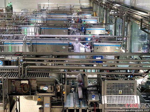 廣西 東盟經(jīng)開區(qū) 企業(yè)鉚足干勁 力爭 開門紅