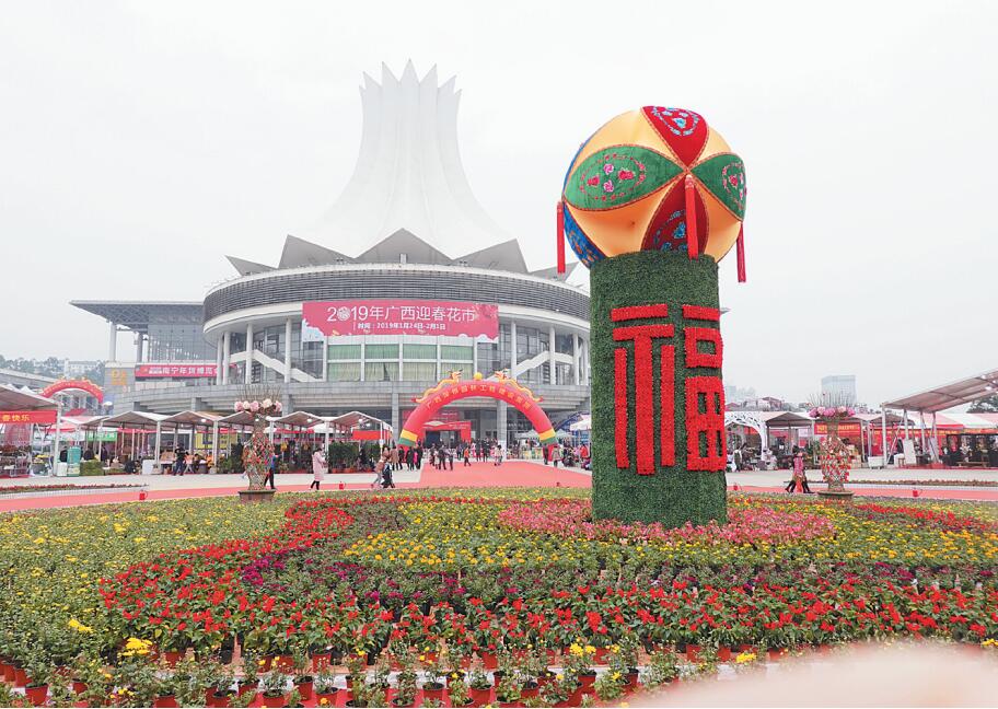 首屆廣西迎春花市在南寧啟幕 “當(dāng)家花旦”迎客來
